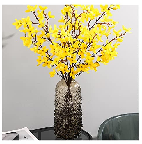Creative Ins Style Big Belly Bubble Glass Vase Decoration Living Room Flower Arrangement Hydroponic Flower Net Red Light Luxury Home Decor Vase (Size : CH) ()