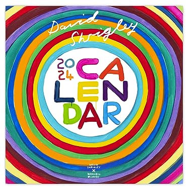 Offizieller David Shrigley – Wandkalender für zeitgenössische Kunst 2024 – lustige Geschenkideen – tolles Geburtstagsgeschenk – für ihn und ihre Freunde – exklusiv von Brainbox Candy erhältlich
