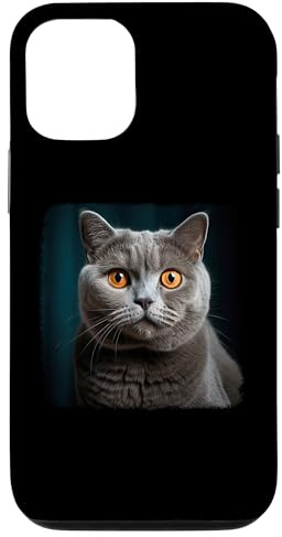 Cat Katzen British Shorthair Britisch Kurzhaar Hülle für iPhone 12/12 Pro