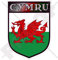 WALES Cymru Waliser Schild Großbritannien UK 100mm Auto & Motorrad Aufkleber, Vinyl Sticker