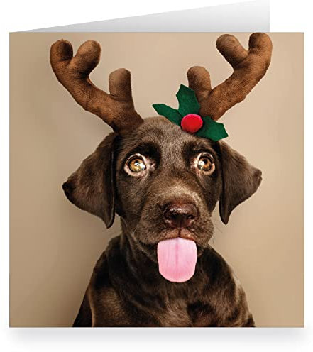 1 Süße Hunde Weihnachtskarte mit Labrador als Elch • quadratisch 15,5x15,5cm, innen weiß • XL Klappkarte mit Umschlag zum Weihnachtsfest für Lieblingsmenschen