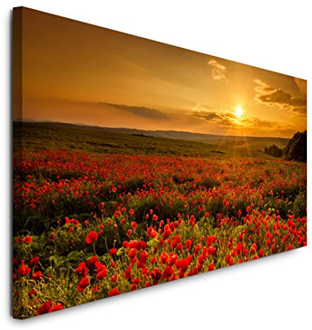 Paul Sinus Art GmbH Mohnfelder 120x 50cm Panorama Leinwand Bild XXL Format Wandbilder Wohnzimmer Wohnung Deko Kunstdrucke