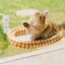 MEWOOFUN Large Cat Window Hammock Bed w/Removable Thicken Cover - Foldable Cat Window Bed Perch Sturdy for Cats Sunbathing Viewing, with 4 Strong Suction Cups Holds up to 18kg (Brown, M)