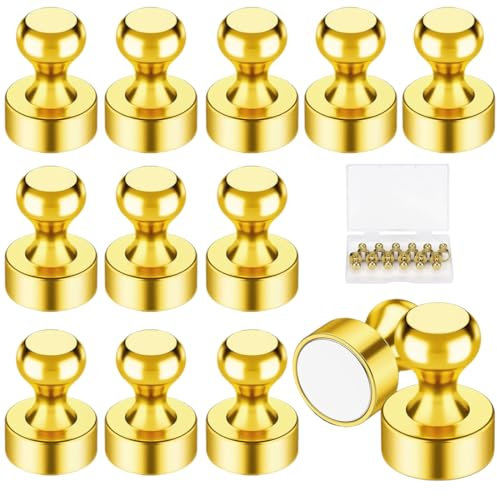 12Stück Gold Magnete für Magnettafel kleine Magnete Stark Neodym Extra Stark Magneten Halt Whiteboard Kühlschrank mit Griff Fotos Schule Gold