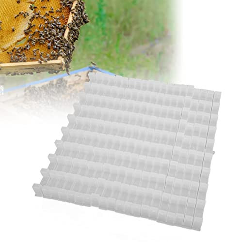 Zerodis Bienenstock-Rahmen-Abstandshalter, 20-teiliges Imkerei-Abstandswerkzeug Kunststoff-Abstands-Bienenrahmen für Imkereibedarf