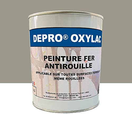 OXYLAC Peinture antirouille pour métal neuf et rouillé - 1KG (GRIS ARGENTÉ)