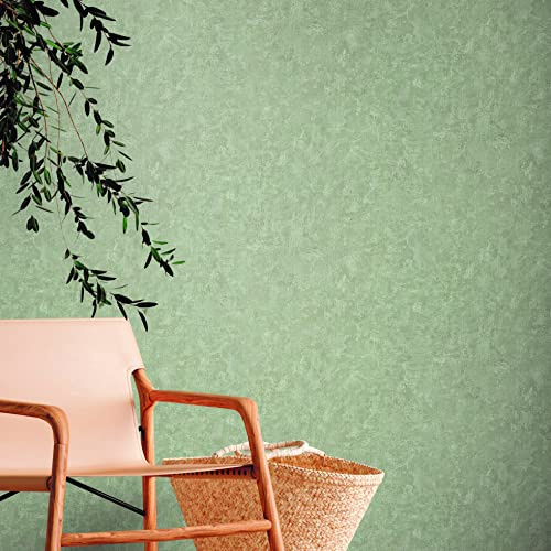 A.S. Création Plain Wallpaper Green - Natural Living 386392 - Non-Woven Wallpaper Sustainable Vintage Plain - 10.05 x 0.53 m Made in Germany