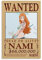 NANXIANG Anime One Piece Wanted Poster Nami Bild Druck Wandkunst Poster Gemälde Leinwand Poster Kunstwerke Raum Ästhetik 20 x 30 cm