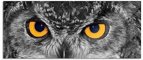 Pixxprint Glasbild Panorama, Wandbild aus Echtglas, Eule mit Augen, 120x50 cm, inkl. Aufhängung und Abstandshalter