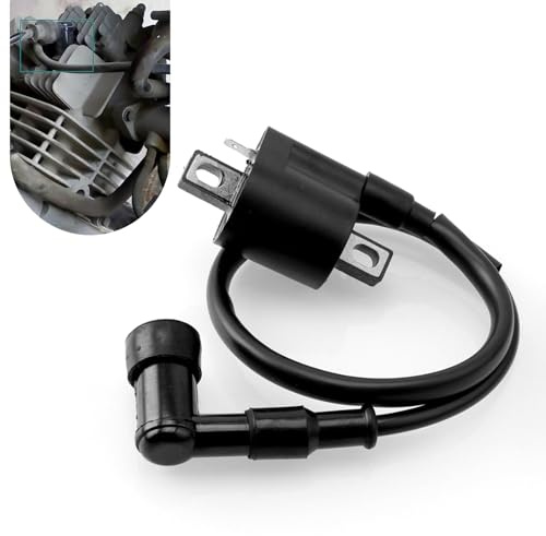 Arwrilt Motor-Zündspule für Motorrad, Dirt Bike, passend für 125 cc, 150 cc, 200 cc, 250 cc, vertikaler Motor, Roller, Buggy, ATV, Dirtbike, Go-Kart, Schwarz