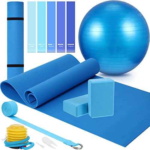 10-teiliges Yoga-Starter-Set beinhaltet Yogamatte mit Tragegurt, 2 Yoga-Blöcke, Yoga-Gurt, Yoga-Pilates-Ball, 5 Widerstandsbänder mit Luftpumpe, Yogamatten-Set und Kit für Anfänger, Damen und Herren