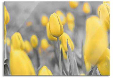 Pixxprint Glasbild, Wandbild aus Echtglas, Gelbes Tulpenmeer, 60x40 cm, inkl. Aufhängung und Abstandshalter