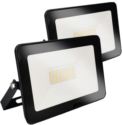 Europalamp - Projecteur LED 100W Blanc - Haute Luminosité : Éclairez de Grandes Surfaces avec Fiabilité et Économie (4000K - Blanc neutre, 2)