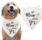 arricraft 1 Stück Haustier Hund Bandana, Verstellbares Halstuch Für Haustiere Zum Thema „Hochzeit, Verlobung“ Mit Den Worten „Meine Mutter Sagte Ja“., Waschbare Baumwoll-Hundeschal