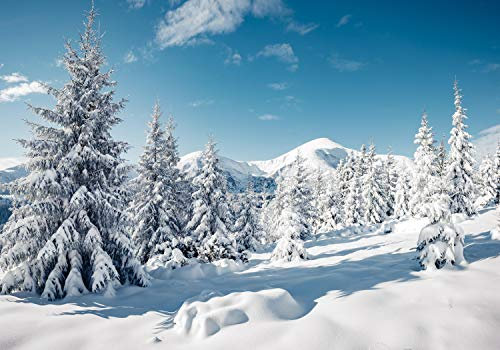 wandmotiv24 Fototapete Berge mit Schnee, XXL 400 x 280 cm - 8 Teile, Wanddeko, Wandbild, Wandtapete, Winter, Wald, Hügel M5740