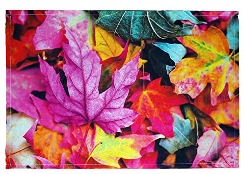 texpot 2 Stück Platzdeckchen 30 x 45 aus 100% Polyester buntes Herbstlaub Ahornblatt lila