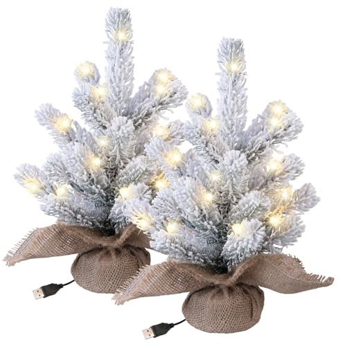 infactory Deko Tannenbaum LED: 2er-Set Deko-Weihnachtsbaum mit Schnee, 20 LEDs, 26 cm, USB-Betrieb (Tannenbaum mit Licht, Weihnachtstannen, Weihnachtsbaumbeleuchtung kabellos)