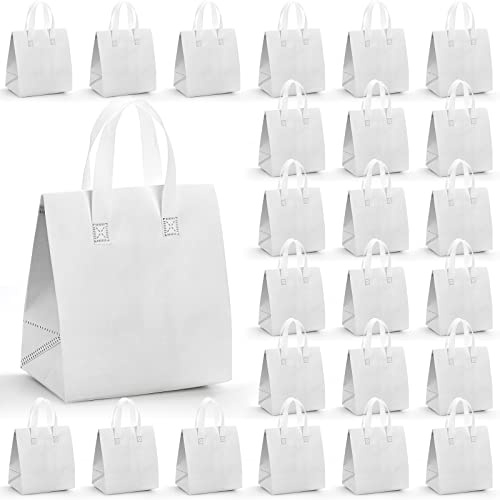 ZENFUN 25 Stück isolierte Taschen zum Mitnehmen, 24 x 15 x 26 cm, isolierte Kühltasche, Lebensmittelbeutel, kleine Thermotasche zum Herausnehmen von heißen und kalten gefrorenen Lebensmitteln