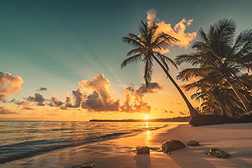 VLIES Fototapete-SÜDSEE-(PF5410)-Palmen Strand Meer Urlaub Reise Karibik Südsee Wandbild Wandtattoo Poster Dekoration
