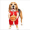 leryveo Hundekostüm Basketball Halloween Kostüm mit Ball für Kleine und Große Hunde, Rot, Polyester, M