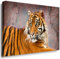 Julia-Art - Bilder Tiger Leinwand mit Keilrahmen 120 x 80 cm Leinwandbild XXL Wandbild Tiere Kunstdrucke Tierwelten Bild Wanddesign Wanddekoration c-642v-188