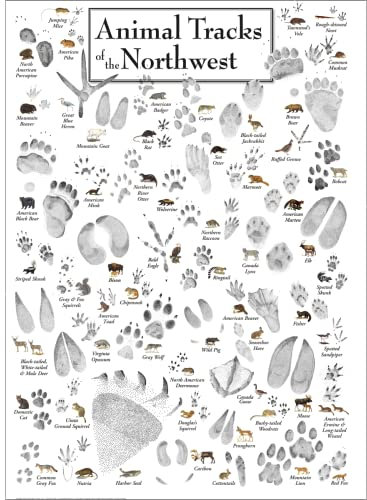 Earth Sky + Water - Animal Tracks of the Northwest - Poster
