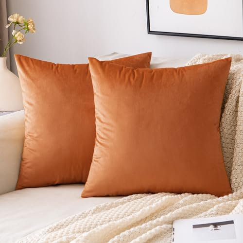 EMEMA Samt Kissenbezug Herbst Kissenhülle 40x40 cm Dekorative Dekokissen Orange Sofakissen Lendenkissen Wurfkissenbezug mit Verstecktem Reißverschluss Schlafzimmer Sofa 2er Set