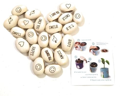 J&J Packung mit 20 Samen magische Bohnen Magic Bean Magic Beans Geschenkidee Wiederholungsereignis Neugier Idee Zuhause Geschenk Bingo Weihnachtsfeier in der Liebe besondere Nachricht…