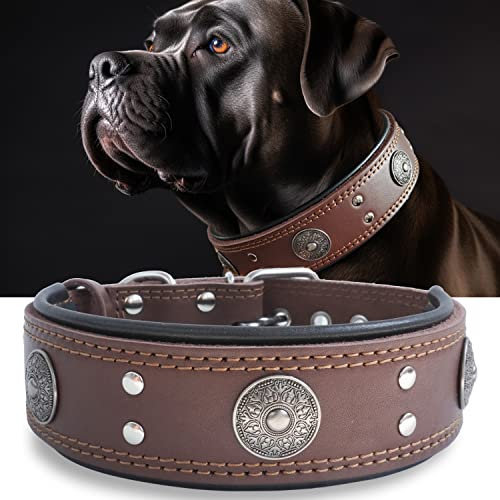 Hundehalsband Leder, 5 cm Breites Robustes Echtes Lederhalsband, Handgefertigt, Weich und Luxuriös, Auffällige Beste Wahl für Große und Mittelgroße Hunderassen 42-52 cm