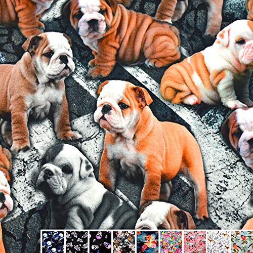 MAGAM-Stoffe Matthew Kinder Jersey Stoff Oeko-Tex Meterware 50cm (Boxer Hund)