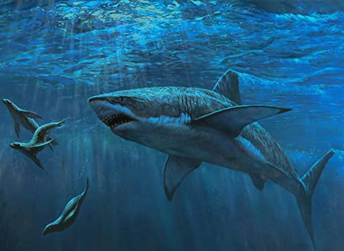 3000 piece puzzle game puzzle - Children's Jigsaw, C, 3000 - Puzzles For Adults Are Ideal Gifts For The Whole Family Explore Puzzles For Adults And Kids Ages 12 And Up - Finished size 122×81cm