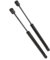 BICUP 2Pcs Auto Heckklappe Gasdruckdämpfern für Audi A5 B8 Sportback (8TA) 2009-2017(OEM:8T8827552)-48.4cm, Hinten Heckklappe Dämpfer Unterstützen Strut Schock Kofferraum-Gasfeder