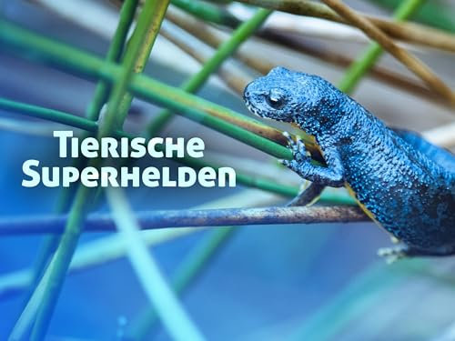 Tierische Superhelden