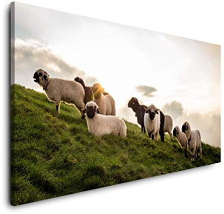 Herde Schafe an einem Berg 120x 60cm Panorama Leinwand Bild XXL Format Wandbilder Wohnzimmer Wohnung Deko Kunstdrucke