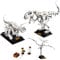 LEGO Ideas 21320 Dinosaurier-Fossilien Konstruktionsspielzeug, ab 16J , 910 Stück