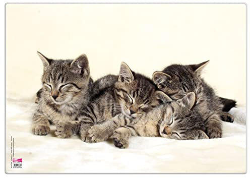 VELOFLEX 4650098 - Schreibtischunterlage Katzen, 35 x 50 cm, rutschfest, abwischbar, mit transparenter Antireflex-Schutzfolie, Schreibtischauflage, Malunterlage, Bastelunterlage