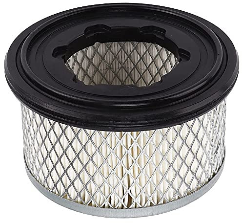 Bumdenuu Filtro aria ED2175306S Ricambi Accessori Auto per Lombardini 15LD440B1 15LD225 15LD350 15LD400