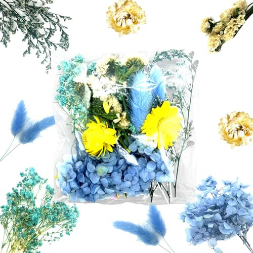 QZKJQDD Getrocknete Blumen, Trockenblumen Zum Basteln, Getrocknete Blumen, Trockenblumen Klein, Für DIY Handwerk Dekoration Epoxidharz Handwerk Scrapbooking Kartenherstellung (Blauer Anzug)