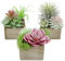 Mingfuxin Lot de 3 Mini Plantes Grasses artificielles Vertes Assorties en Pot, Petites Plantes Grasses artificielles avec Pot en Bois pour la Maison, Le Bureau, Le Salon, la Table, Le Bureau
