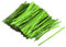 sourcing map 800Pcs 4 Inches Metallic Twist Ties Reusable Plastic Bag Ties Decorative Ties for Bread Candy Bag Gift Wrapping Parties Decoration Bakery Bags, Green