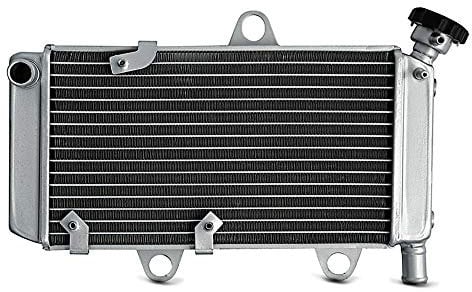 Enfriador de Aceite Compatible para Yamaha XT 660 R X 04-14 Radiador Zaddox