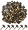 100 Stk Reißnägel Heftzwecken Vintage Polsternägel Möbel Runder Großköpfiger Bronze Metall Möbel Reißnägel für Sofa, Schrank, Markierung, Pinnwand, Lehre, DIY