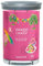 Yankee Candle Signature Duftkerze | Art in The Park Große Tumbler Kerze mit Doppeldochten | Sojawachs-Mischung lang brennende Kerze | perfekte Geschenke für Frauen (1728878E)