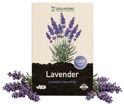 Grounding - Semillas de Lavanda (Lavandula angustifolia), 3000 semillas - Aroma intenso y flores violetas, ideal para jardín y macetas - Calidad Europea
