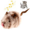 GiGwi Chirpy Cat Mouse Interactive Chirping Melody Chaser - Funny Kitten Toy With Animal Sound for Boredom