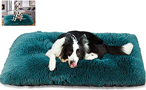 Plüsch HundeBett Hundesofa, Orthopäisches Waschbare Hundebetten, für Kleine Mittlere Große Hunde, rutschfest Weiches Hundekorb Hundekörbchen- Cyan||XS (43×30×12cm)