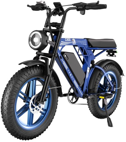 HiQiS Vélo Electrique pour Adultes, 20 * 4.0 Pouces Pneus Gras, Batterie Amovible 48V 17.5AH, Moteur 250W, Jusqu'à 25KM/H, Ebike jusqu'à 50 à 80 KM, Vélo électrique 7 Vitesses, Double Suspension