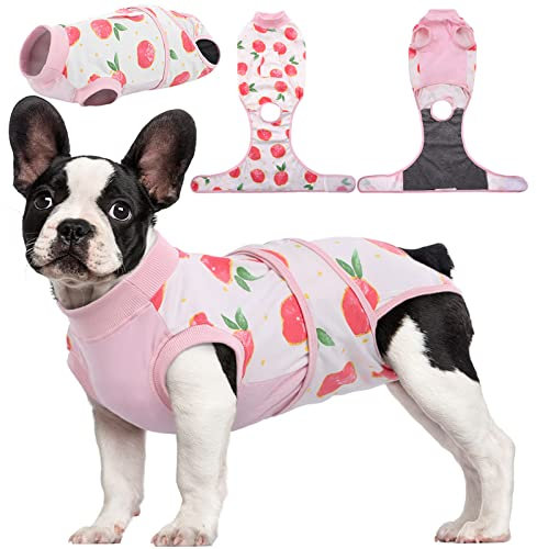 Kuoser Tuta da Recupero per Cani e Gatti Dopo l'Intervento Chirurgico, Fasciature per Ferite Addominali, Collare Elettronico e Cono Sostitutivi, per Prevenire La Leccata di Cani