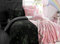 Olivia Rocco Teddy-Fleece-Bettwäsche-Set, leuchtet im Dunkeln, weich, warm, Kinder-Bettwäsche-Set, Regenbogen-Einhorn, Einzelbett