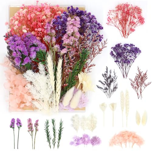WenmthG Getrocknete Blumen und Pflanzen Mix Set rosa-violett, Trockenblumen, Gepresste Blumen